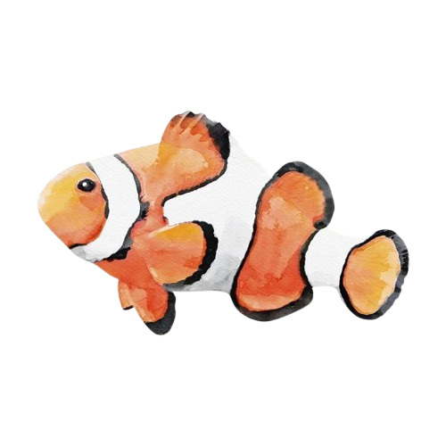 Clownfish